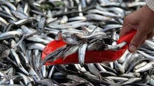 Çek kullanımı Ocak ayında yüzde 73 arttı